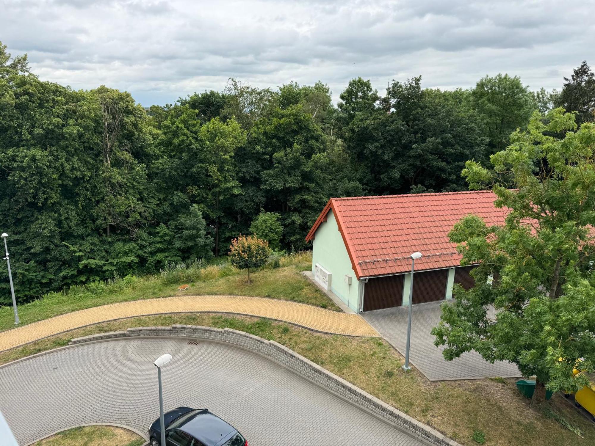 Bozki Apartament Kętrzyn Exteriér fotografie